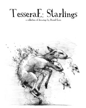 TesseraE: Starlings